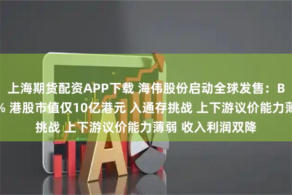 上海期货配资APP下载 海伟股份启动全球发售：B轮股东浮亏超44% 港股市值仅10亿港元 入通存挑战 上下游议价能力薄弱 收入利润双降